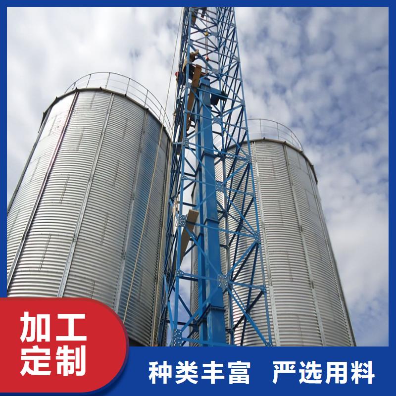 大型立式粮食储存仓型号款式按需定制