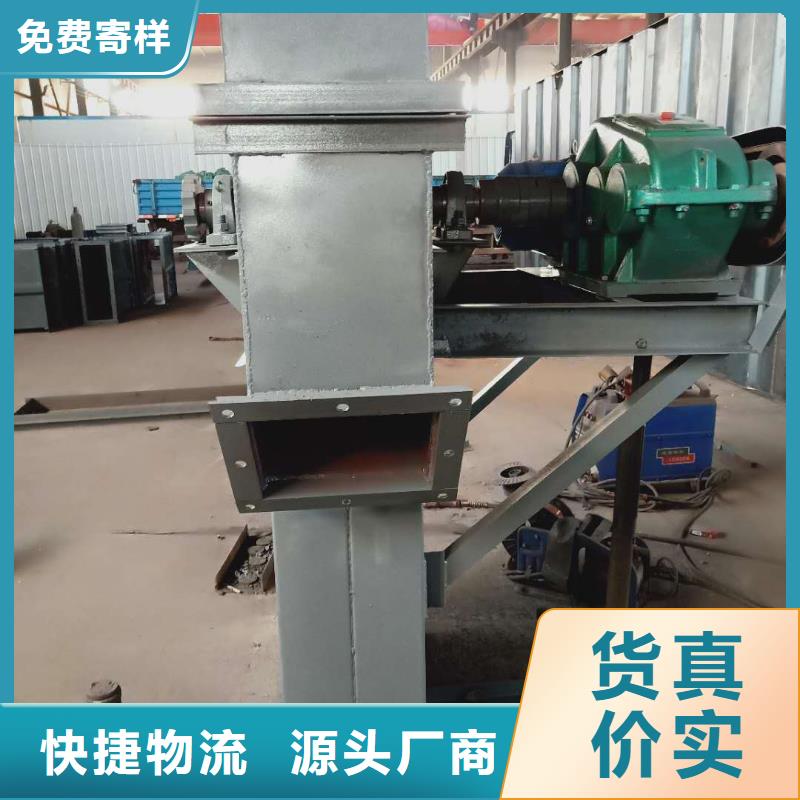 TD200斗式机厂家经销商