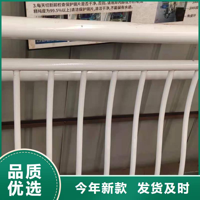 【桥梁护栏【道路护栏】订制批发】
