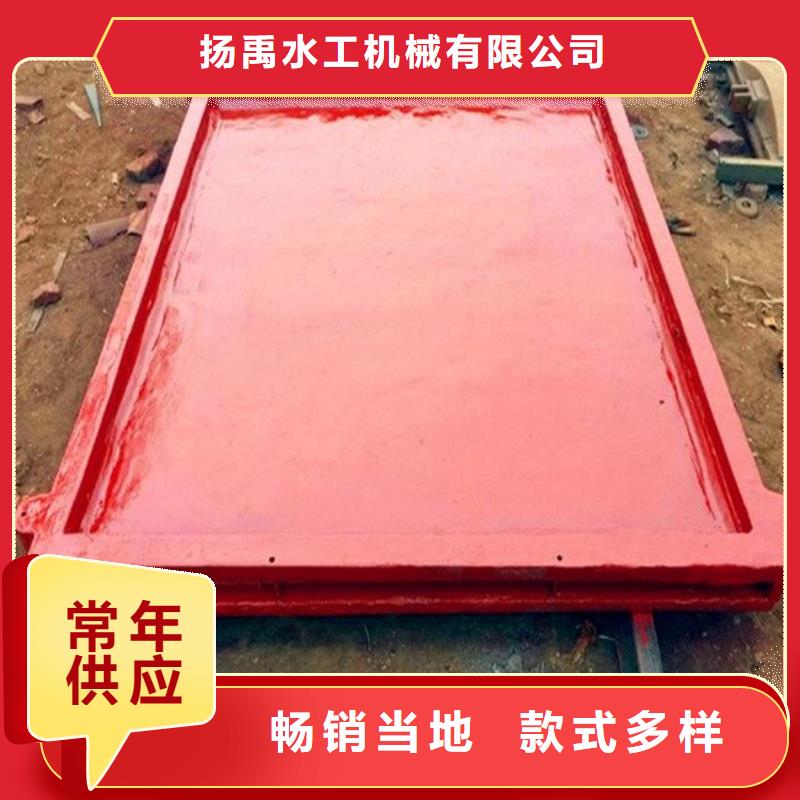 铸铁闸门用品质赢得客户信赖