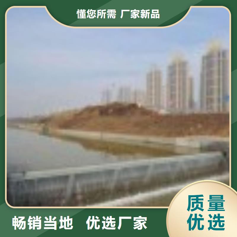 翻板闸门铸铁闸门高质量高信誉