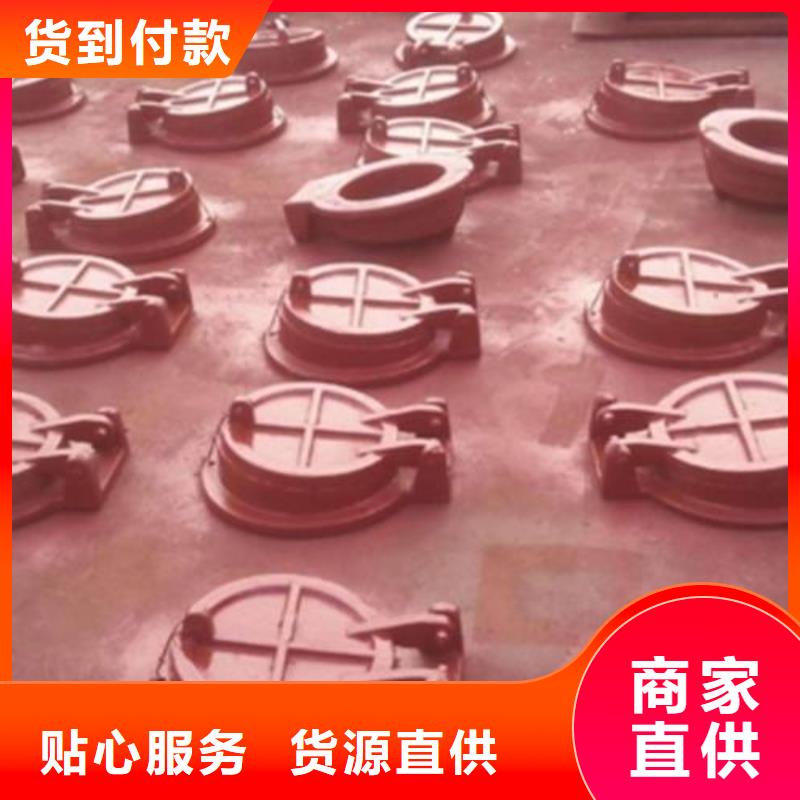 拍门球墨铸铁闸门品质之选