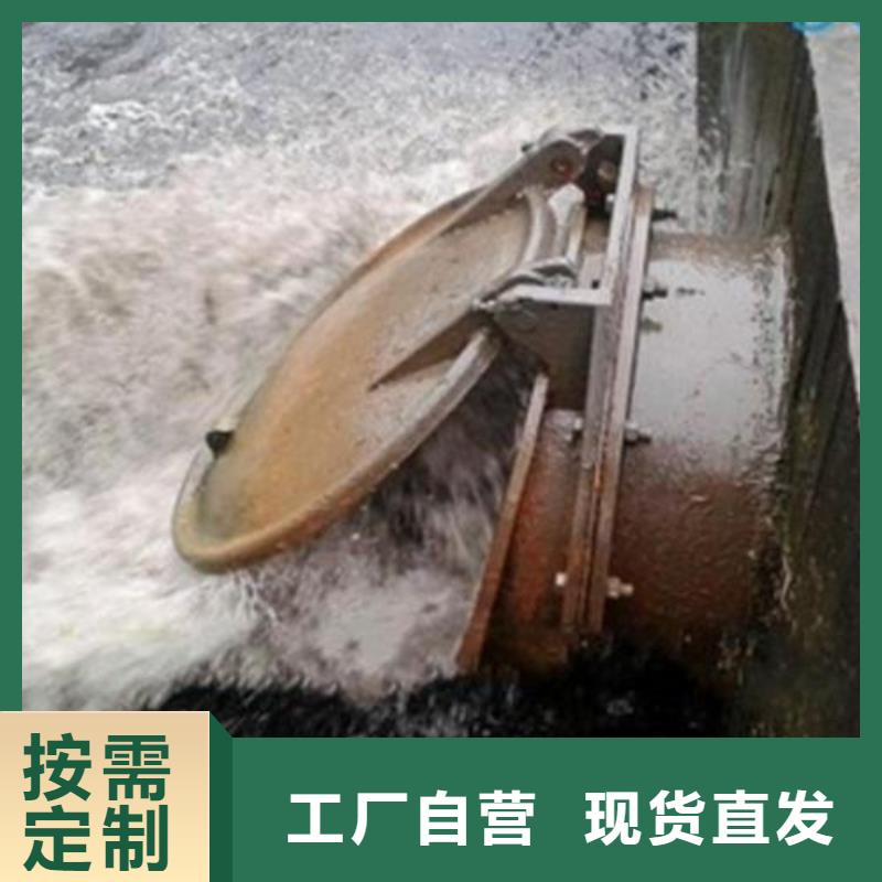 拍门_【铸铁闸门】厂家规格全