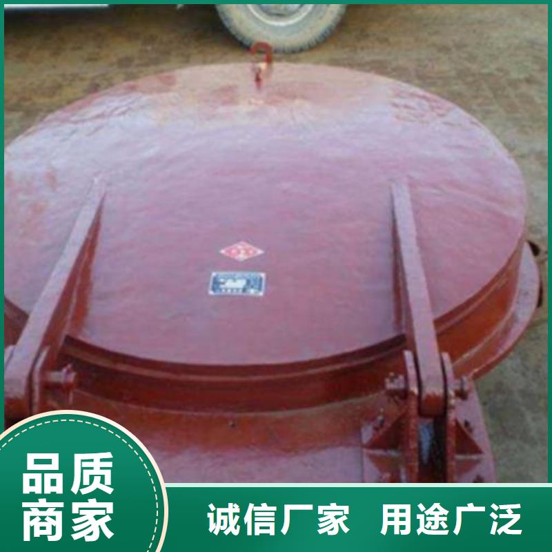 拍门球墨铸铁闸门品质之选