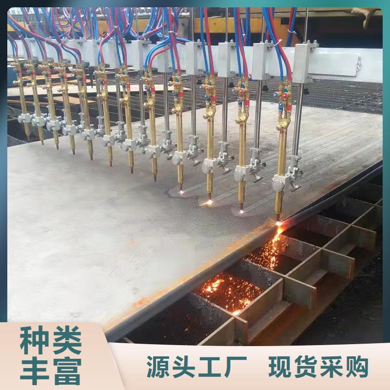 【容器板-弹簧板工厂批发】
