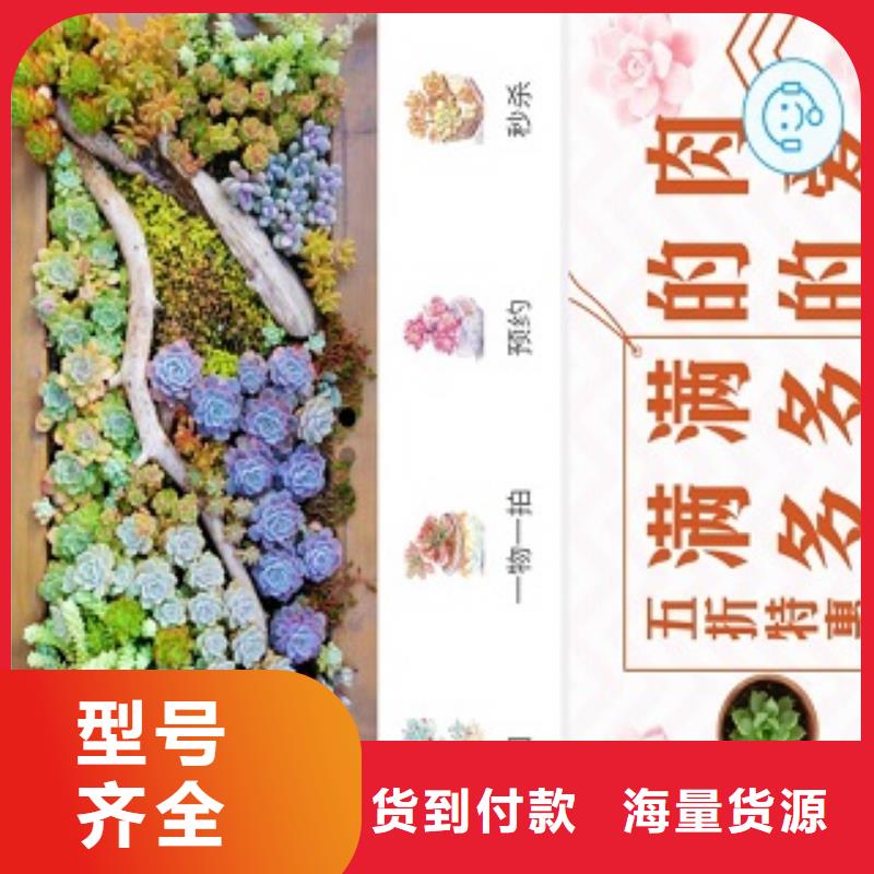小程序商城代运营