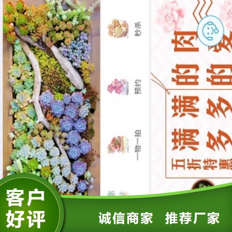 小程序制作小程序代运营您身边的厂家
