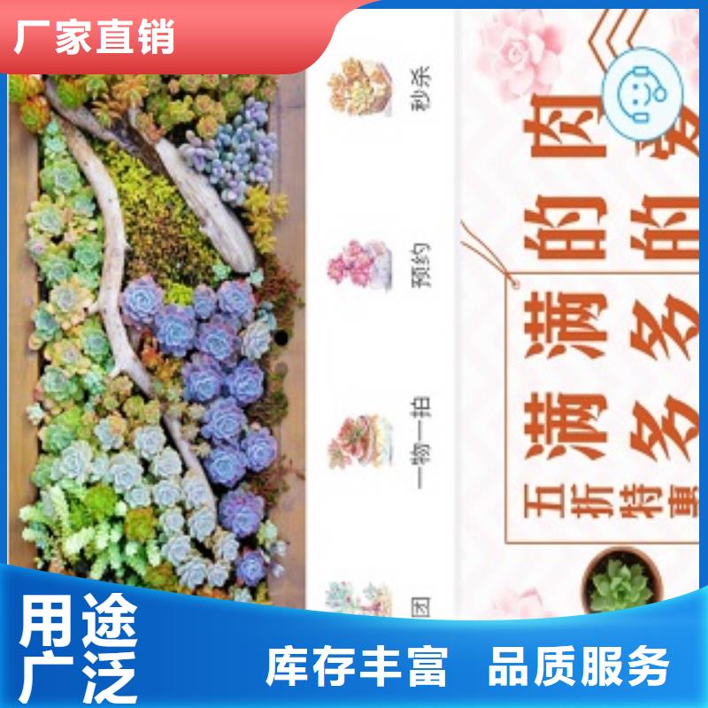 小程序制作小程序代运营您身边的厂家