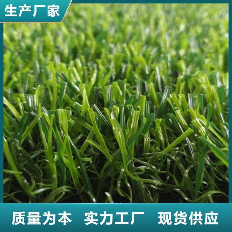 塑胶跑道品质做服务