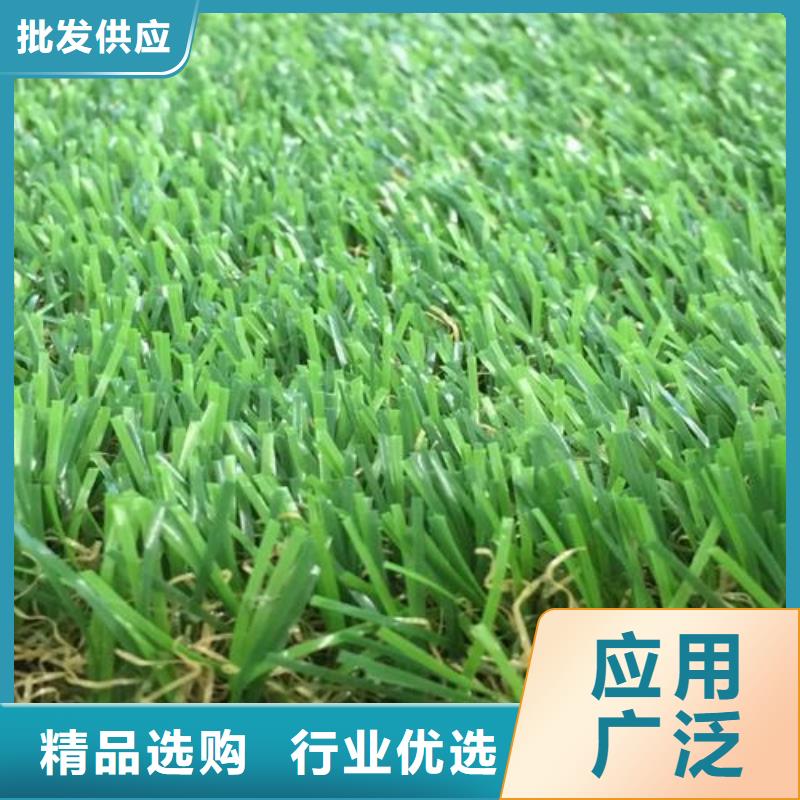 塑胶跑道透气型塑胶跑道您身边的厂家