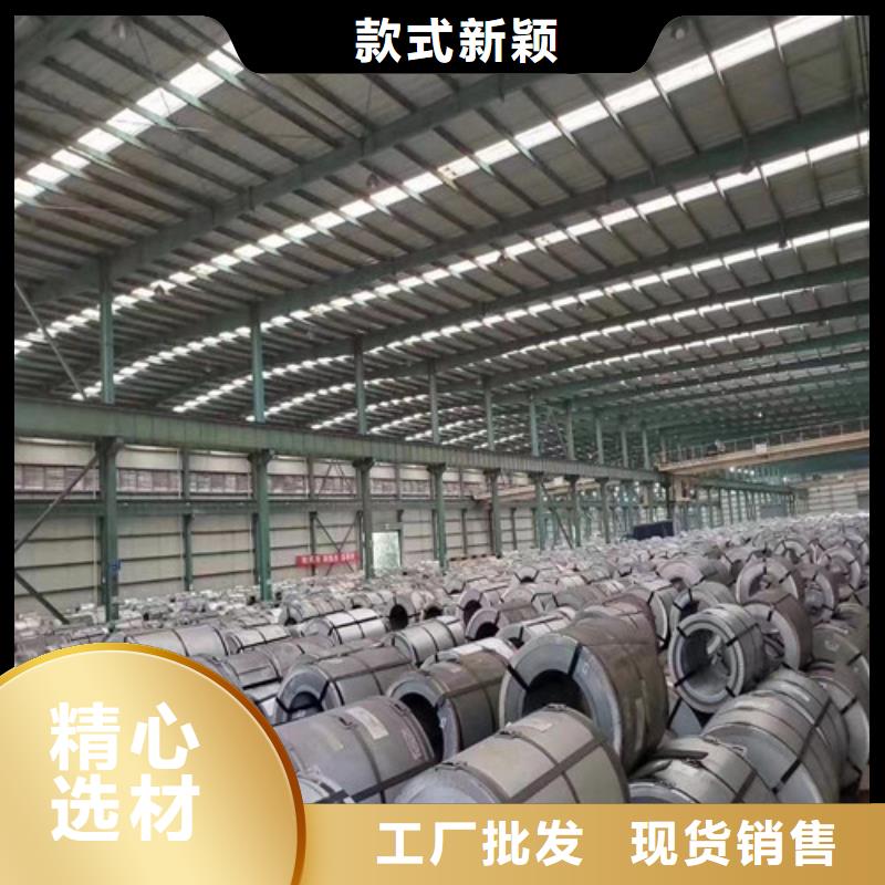 专业生产制造无取向0.5厚度50WW290供应商