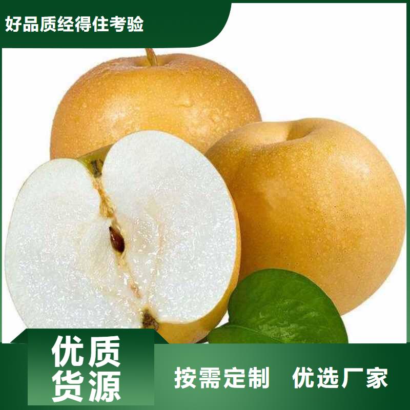 梨,北京十四号桃树苗专业生产品质保证