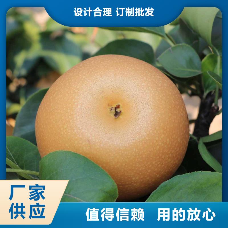 梨,北京十四号桃树苗专业生产品质保证