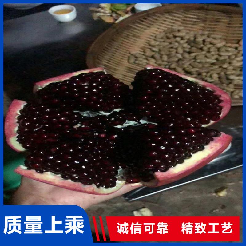 【石榴-石榴树种类丰富】