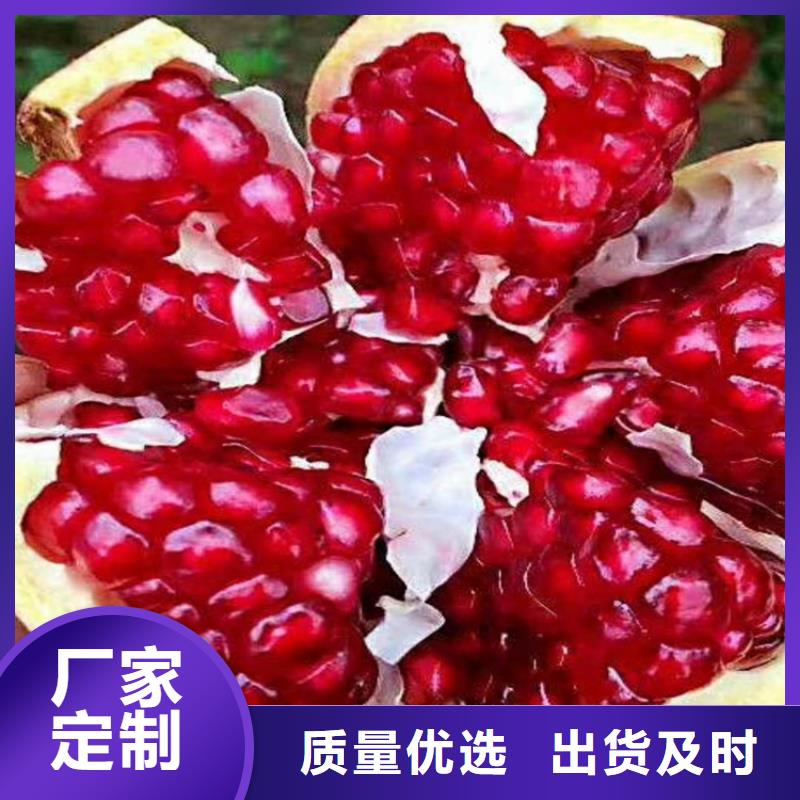 【石榴-石榴树种类丰富】