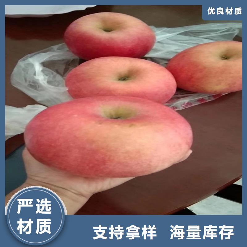 苹果猕猴桃苗快速发货