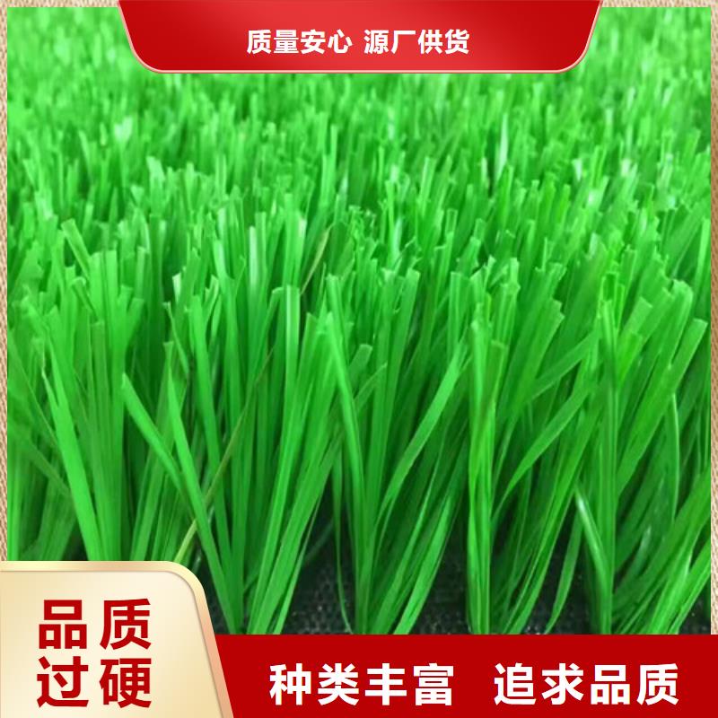 人造草坪 幼儿园地坪专注生产N年
