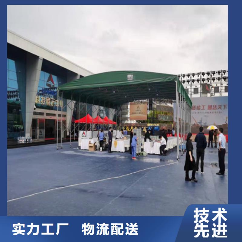雨蓬实力大厂家