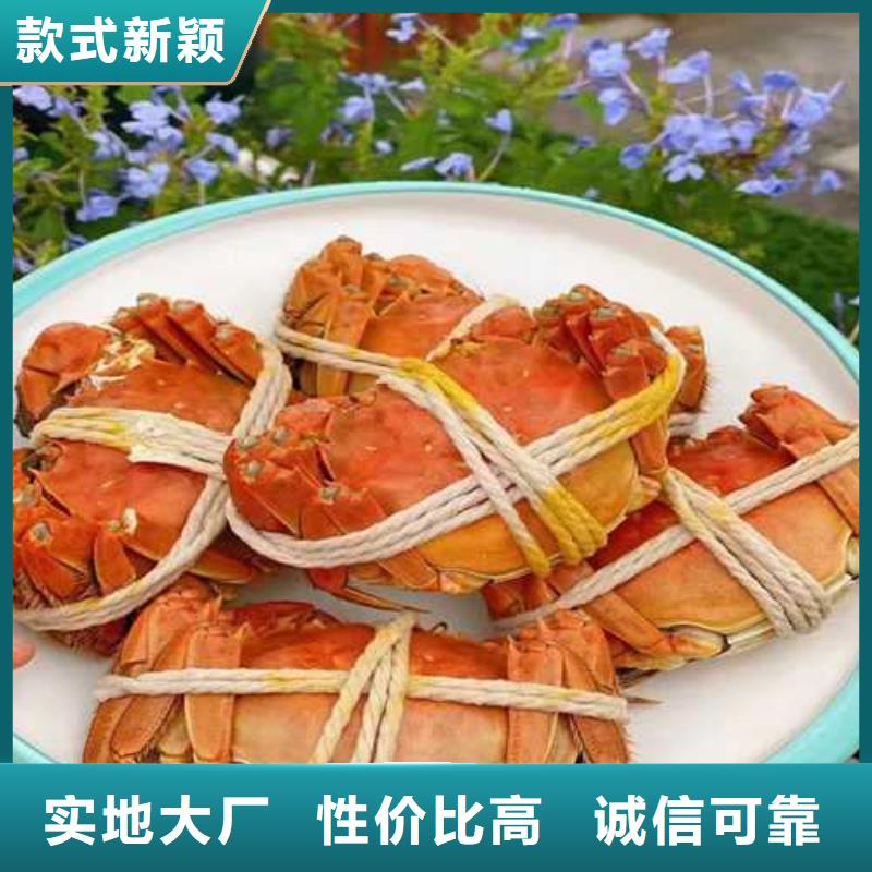 阳澄湖大闸蟹哪里正宗