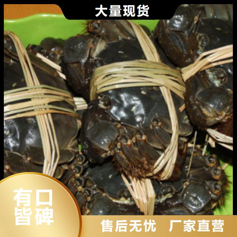 阳澄湖大闸蟹哪里正宗