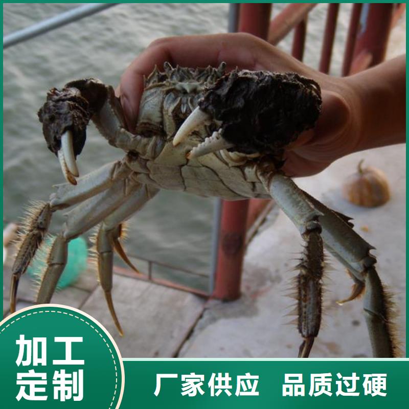 阳澄湖大闸蟹哪里正宗