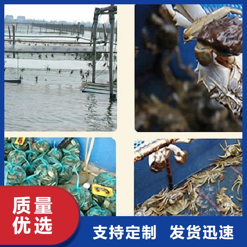 阳澄湖大闸蟹哪里正宗