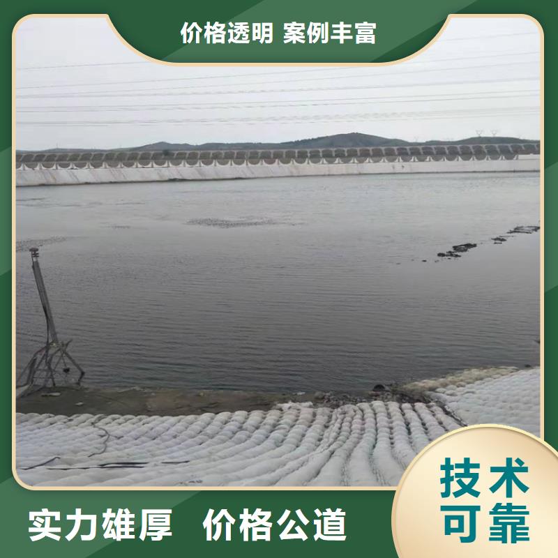 蛙人服务公司-水下摄像检查公司精英团队
