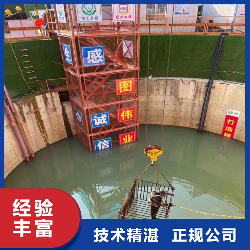 蛙人服务公司-水下摄像检查公司精英团队