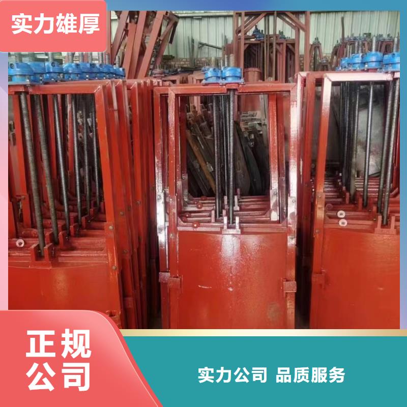 渠道闸门-双向止水铸铁镶铜闸门靠谱