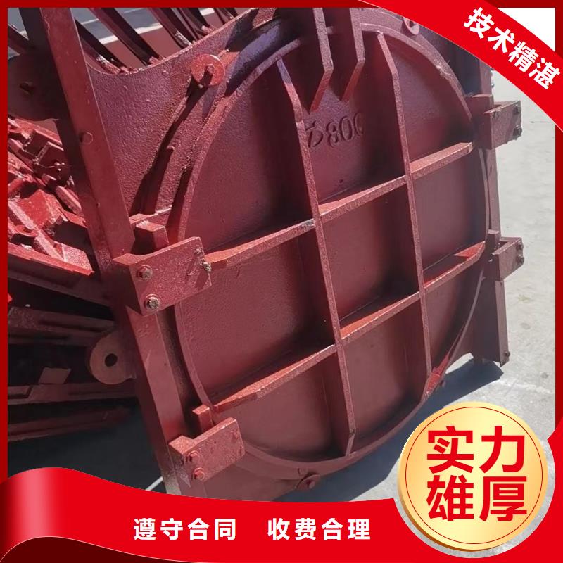渠道闸门-pz机闸一体式铸铁闸门智能