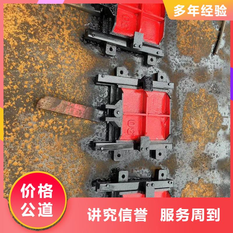 铸铁镶铜闸门-铸铁闸门螺杆启闭机智慧水利