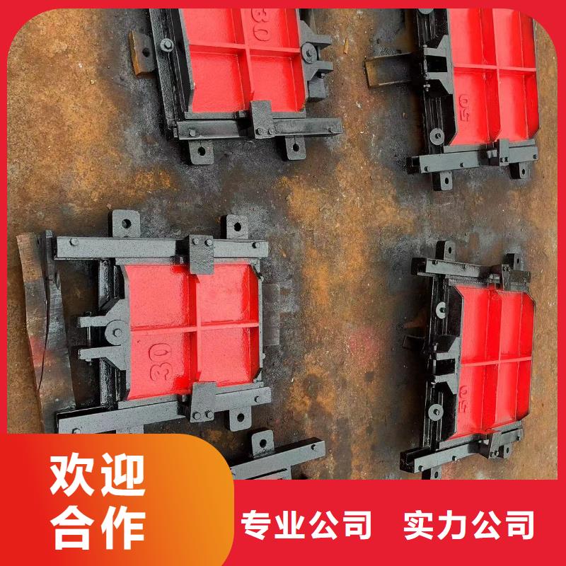 铸铁闸门-ZMQF铸铁镶铜闸门免费安装调试