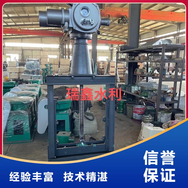 铸铁闸门-平面闸门带直联启闭机经验丰富