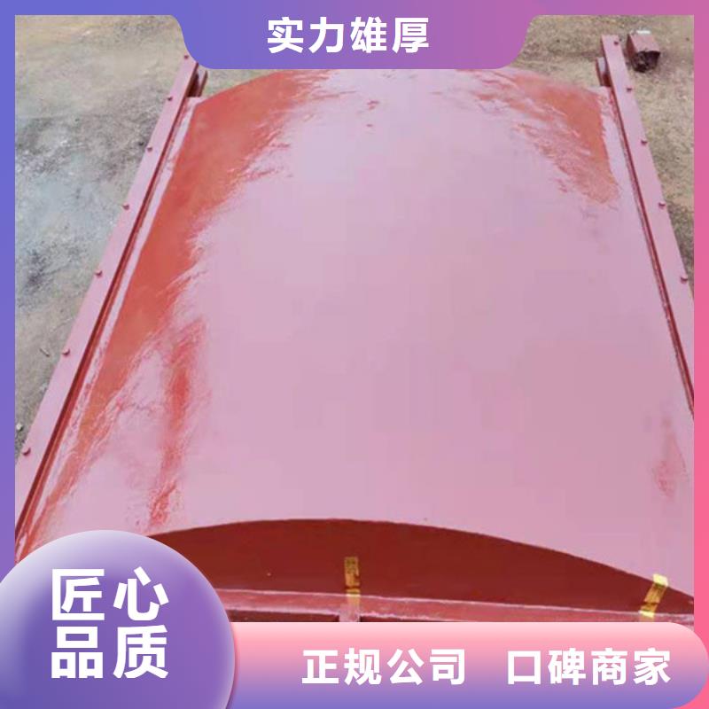 铸铁镶铜闸门-河灌区闸门服务贴心