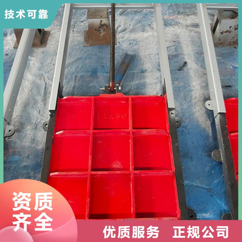 启闭机闸门-铸铁双向止水闸门源头厂家