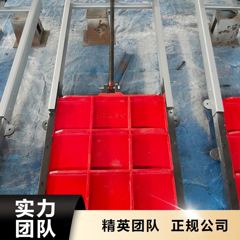 铸铁镶铜闸门-铸铁闸门螺杆启闭机售后无忧