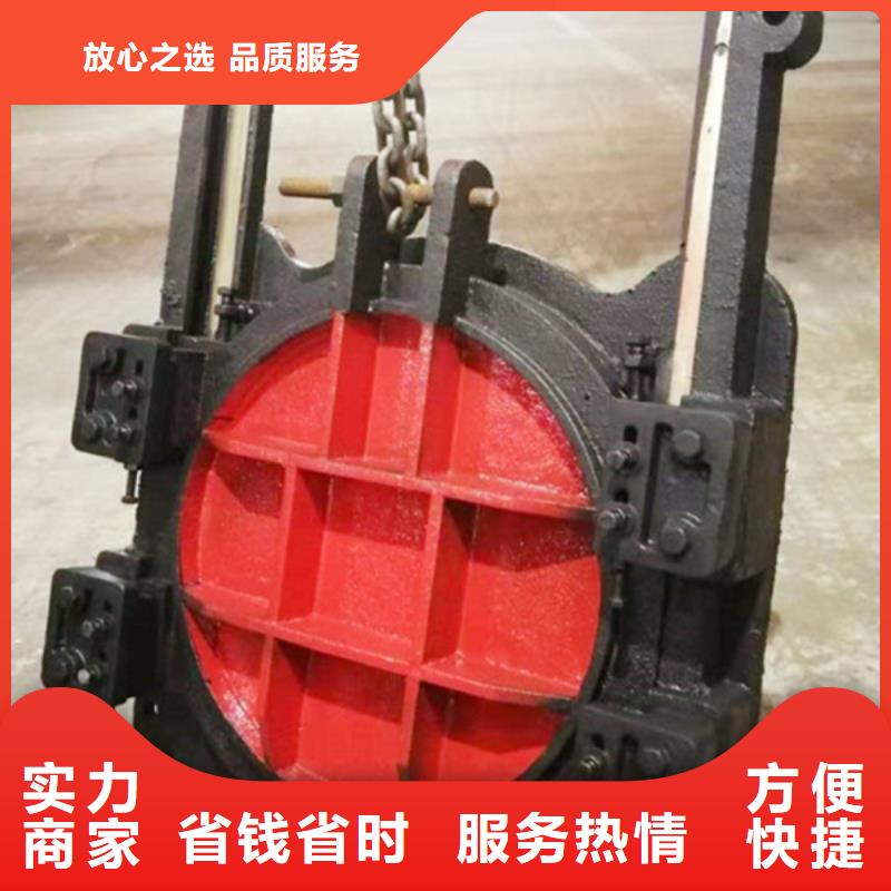 启闭机闸门-pz双向止水铸铁闸门服务贴心