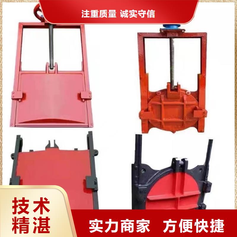 启闭机闸门-水电站水渠铸铁闸门源头厂家