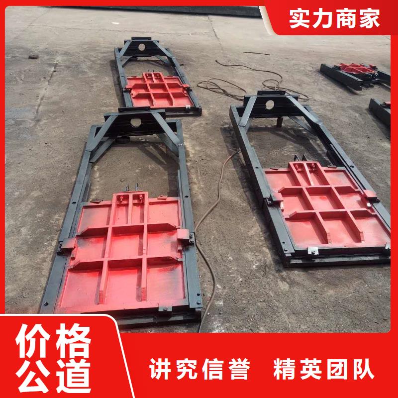铸铁镶铜闸门-放心可靠