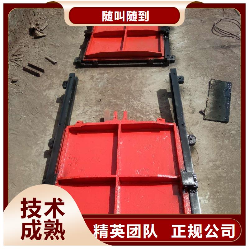 铸铁镶铜闸门-单向止水铸铁闸门智能
