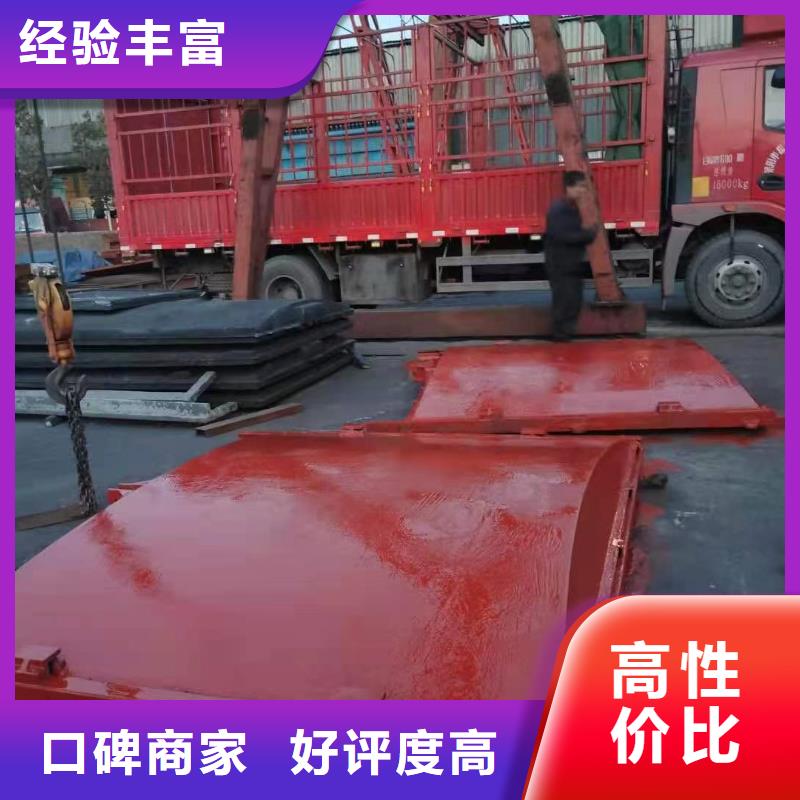PGZ钢制复合闸门