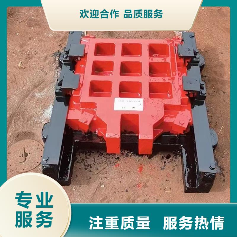 电动闸门-瑞鑫启闭机铸铁闸门清污机钢闸门拍门水工机械厂