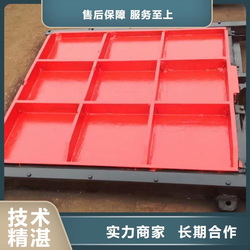 闸门启闭机-双向铸铁镶铜闸门靠谱
