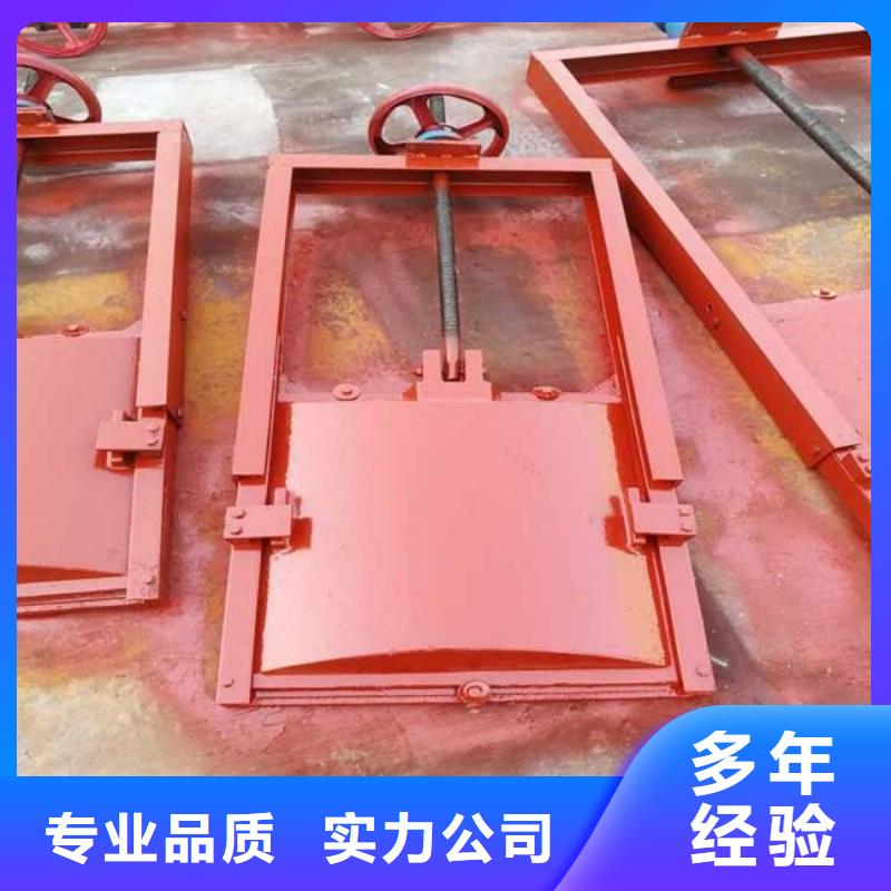 渠道闸门-景观大型闸门经久耐用