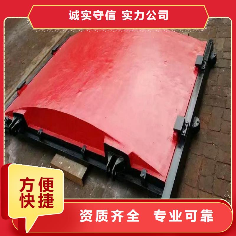 铸铁镶铜闸门-水电站闸门品质卓越