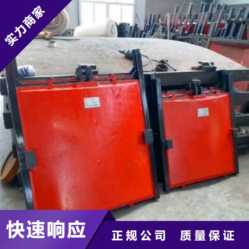 启闭机闸门-暗杆铸铁镶铜闸门快速响应