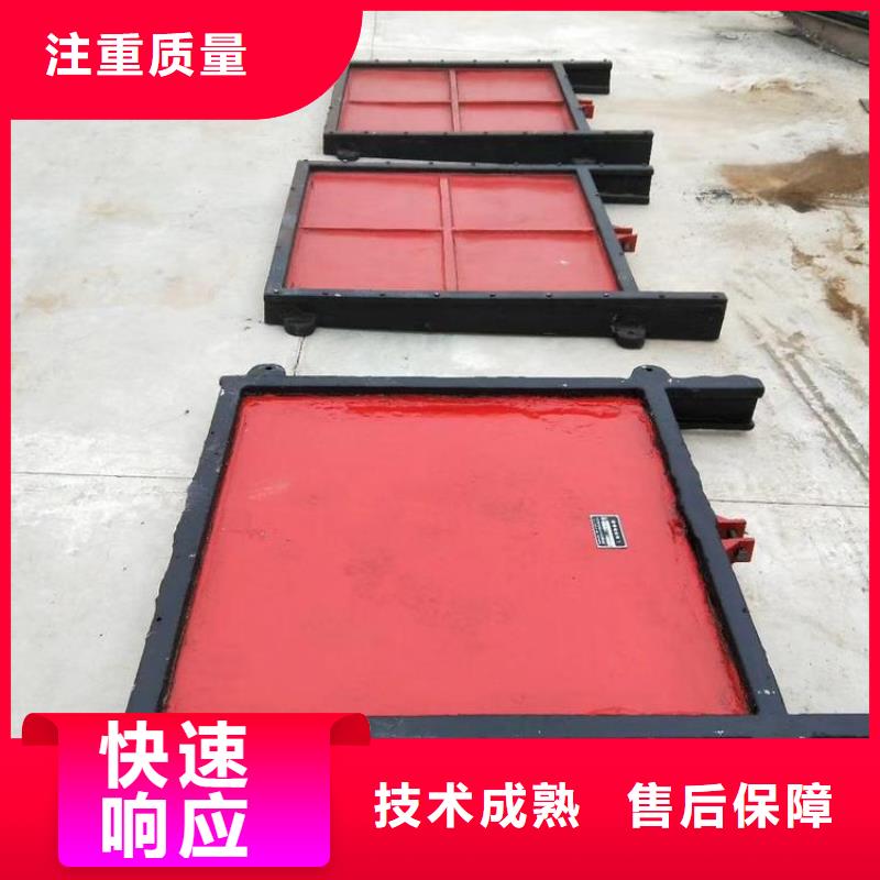 渠道闸门-双向止水铸铁镶铜闸门靠谱