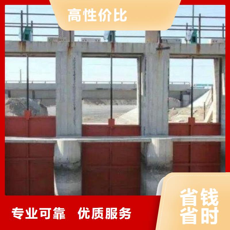 渠道闸门-双向转动闸门信誉良好