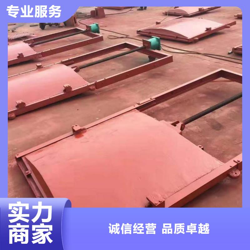 河道铸铁闸门-墙式镶铜铸铁闸门品质卓越