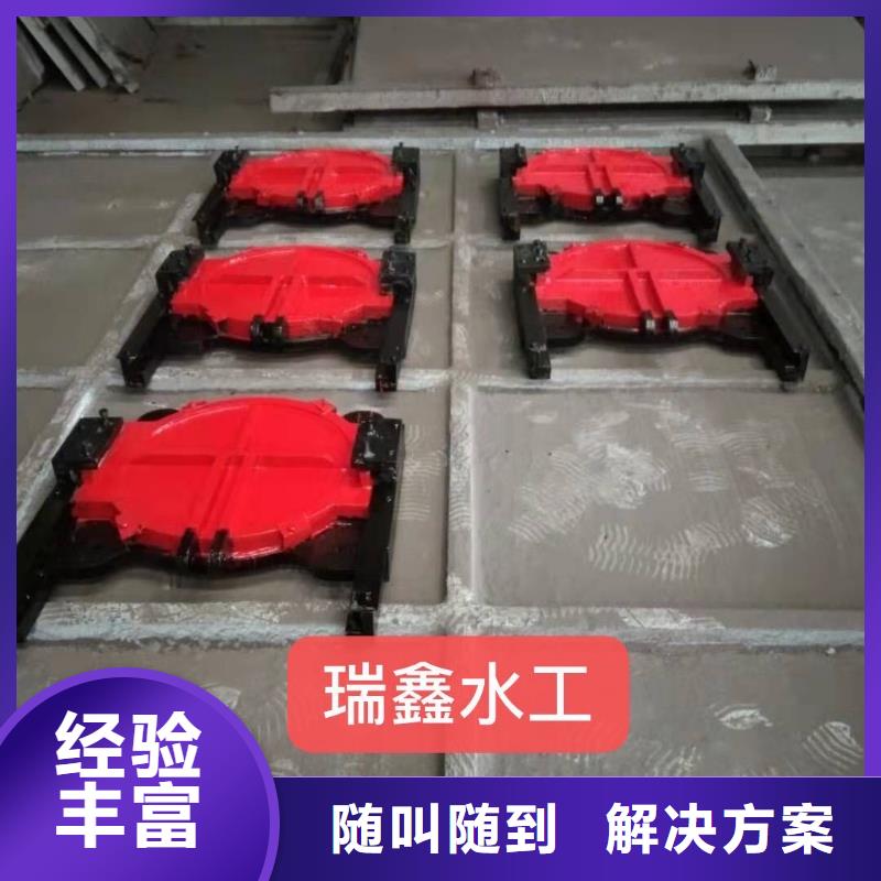 闸门启闭机-双向铸铁镶铜闸门靠谱